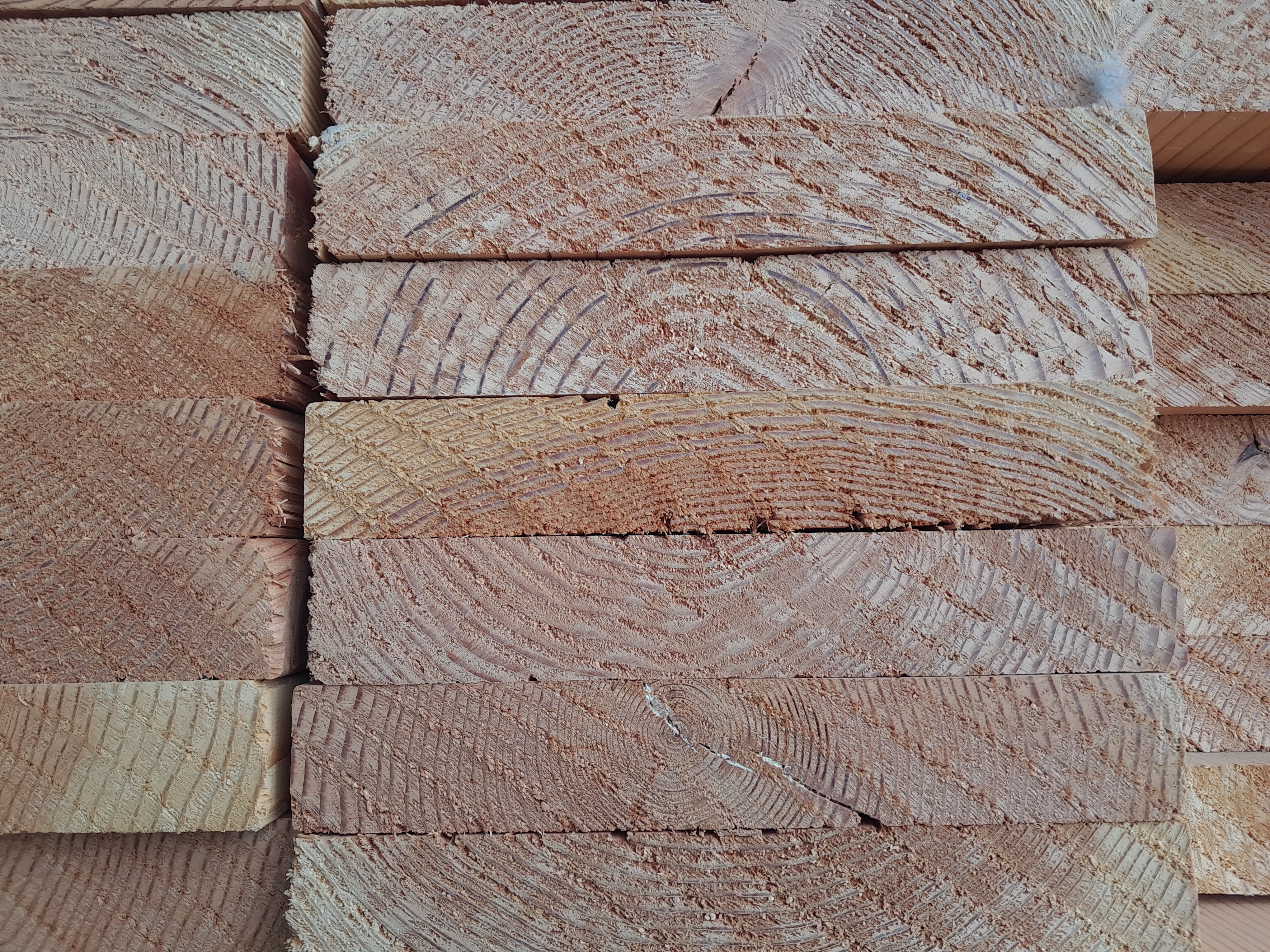 Alaska Yellow Cedar Grain Detail